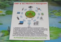 * EMF & 5G verguld hologram 30 mm