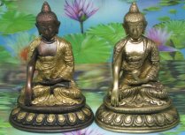 * Orgon Boeddha brons 16cm