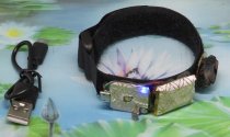 * Rife transducer armband met Edel shungiet