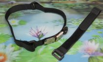 * Rife transducer armband met Edel shungiet