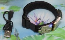 * Rife transducer armband met Edel shungiet