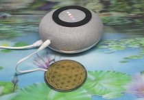 * Google Home Rife transducers voor grote of meerdere ruimtes