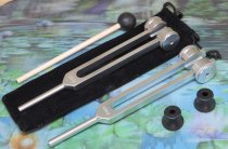 * Schumann stemvork set