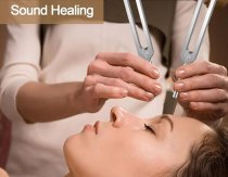 * Schumann stemvork set