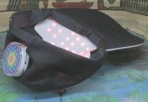 * Rood licht scalaire pet